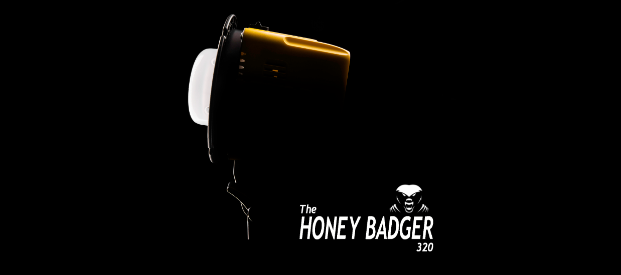The Honey Badger 320Ws 2-Light Kit